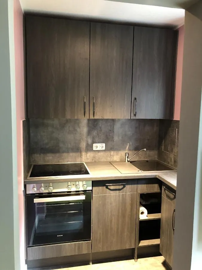 Studio Apartment In Dresden-Neustadt Dresden